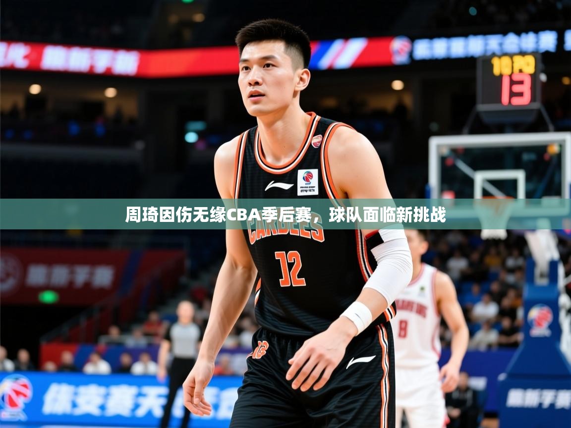 2025云开体育app网页版入口周琦因伤无缘CBA季后赛，球队面临新挑战  第2张
