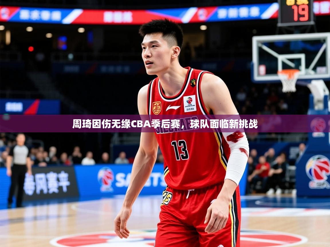 2025云开体育app网页版入口周琦因伤无缘CBA季后赛，球队面临新挑战  第3张