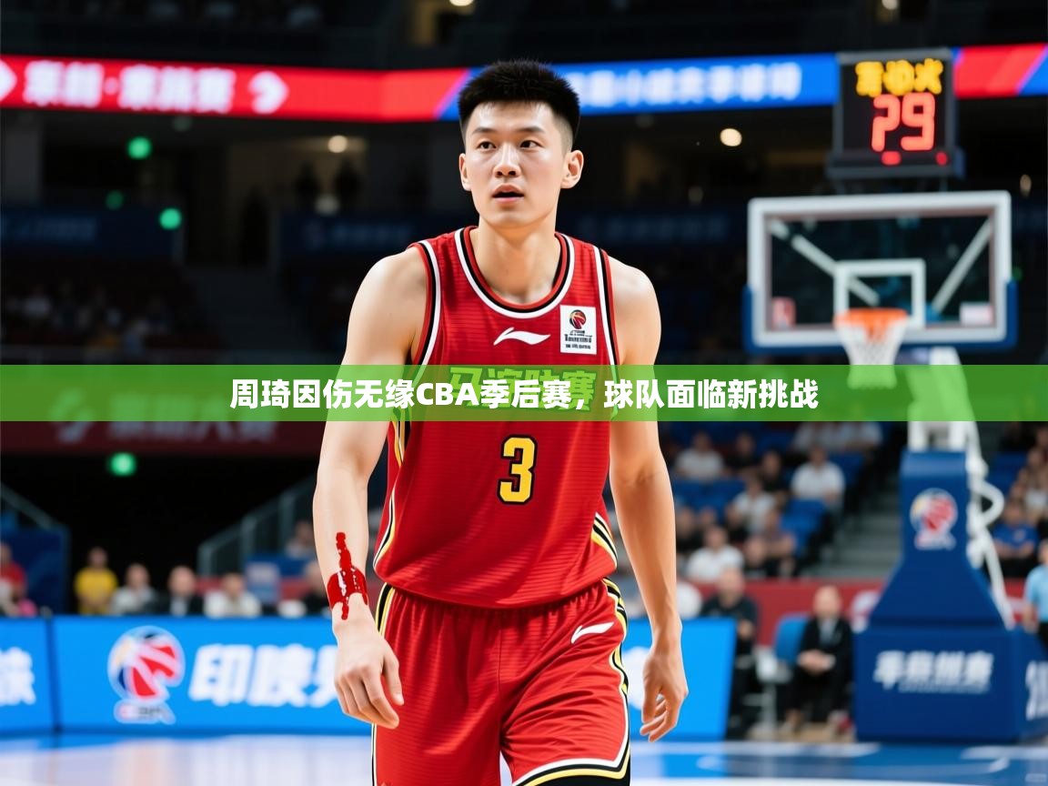 2025云开体育app网页版入口周琦因伤无缘CBA季后赛，球队面临新挑战  第4张